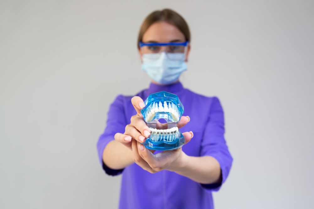 Dentista enseñando una dentadura en plástico azul